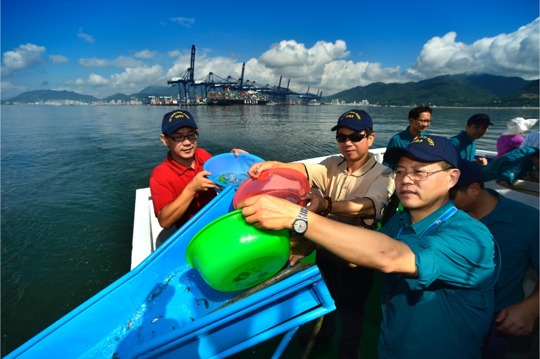 Over 3.8 million fingerlings released at Yantian Port to help preserve the marine population

