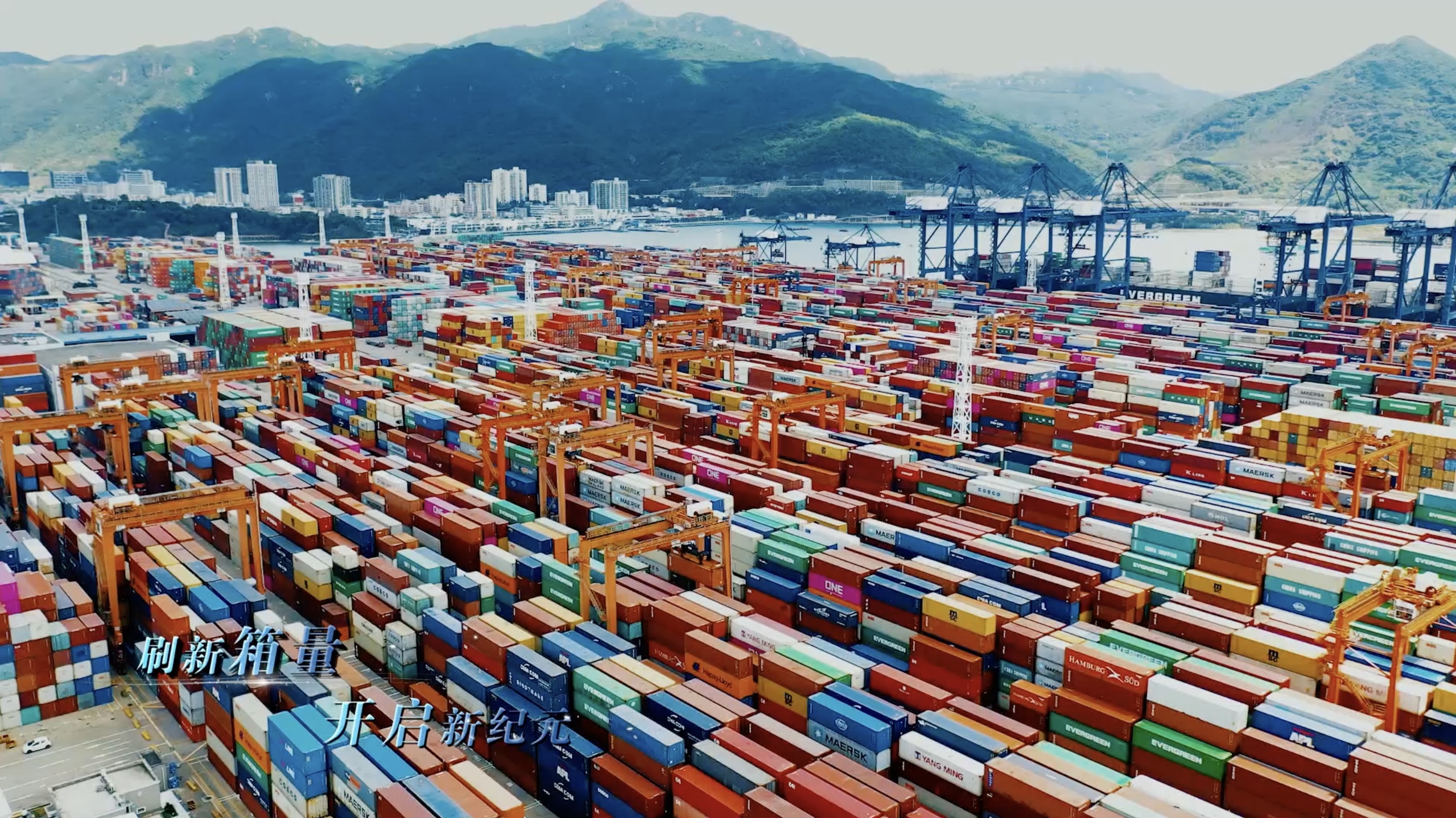 1698731090672030390.jpg 1.jpg