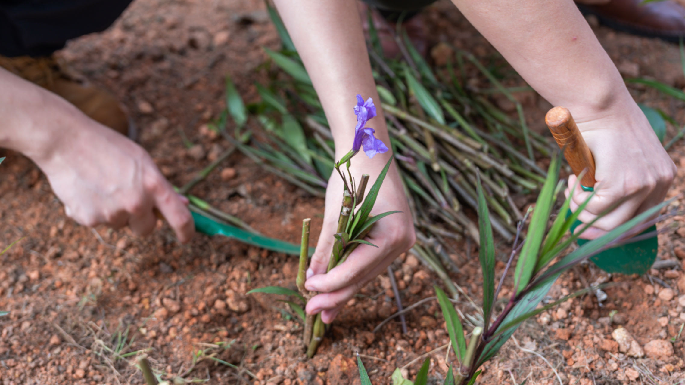 1698896307555067804.jpg 9.jpg