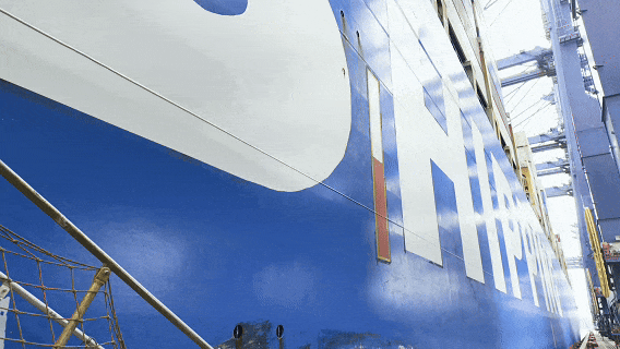 1770778994434094646.gif 6.gif