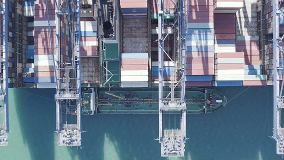 1770779269119025037.gif 10.gif