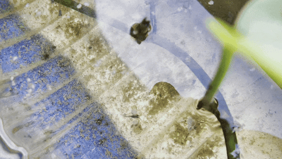 1770779346341099652.gif 13.gif