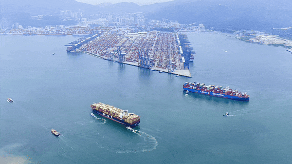 1770779385210087503.gif 15.gif