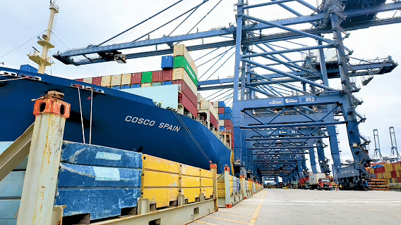 1770779400192017245.gif 16.gif