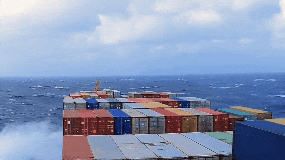 1770779420584024492.gif 17.gif