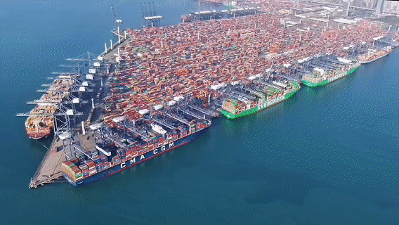 1770782119512009732.gif 1.gif