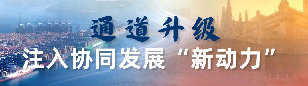 1775720688614002814.jpg 9.jpg